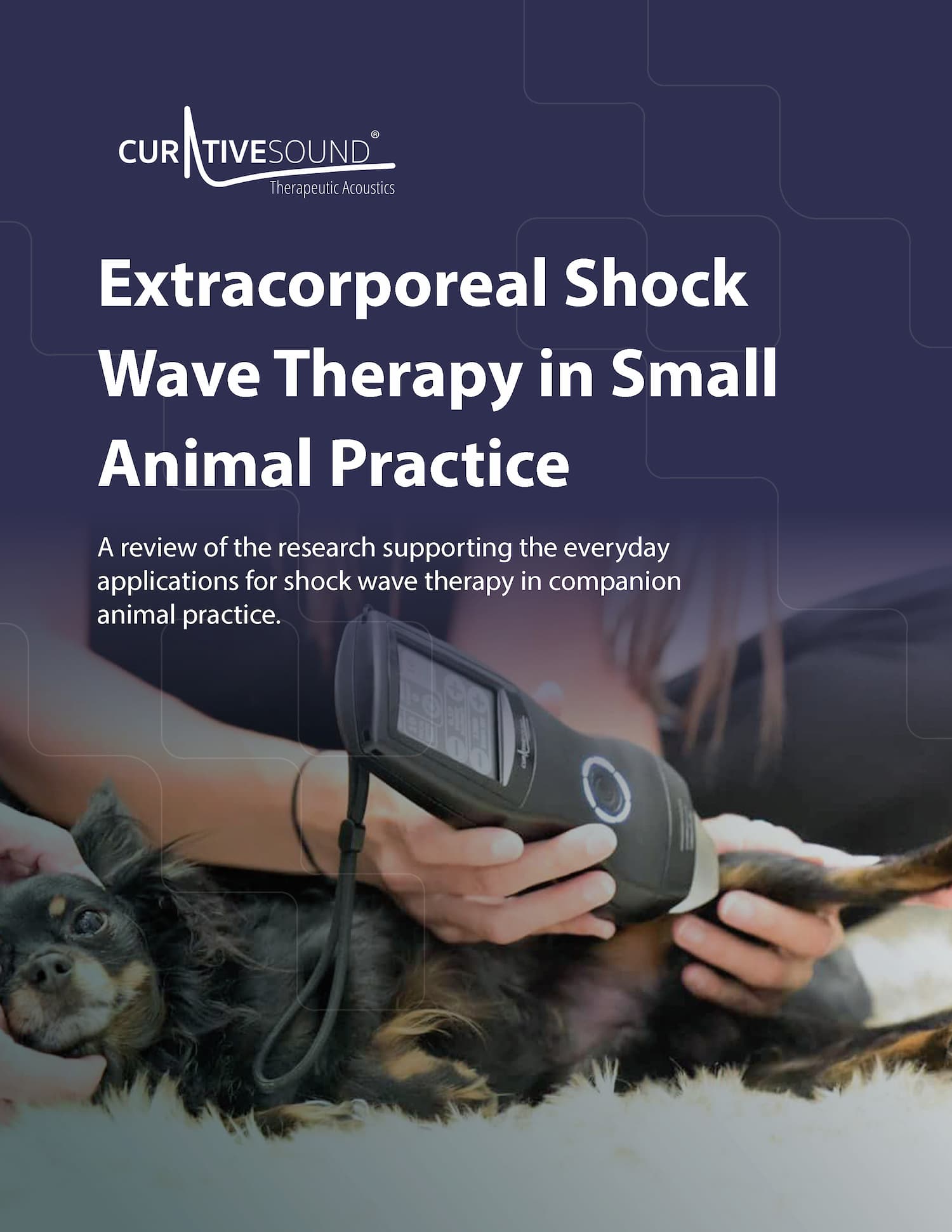 Extracorporeal Shock Wave Therapy in Small Animal Practice photo